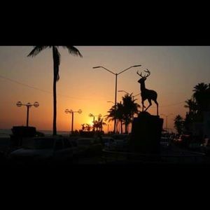 Meet your Posher, Gustavo